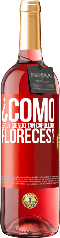 29,95 € | Vino Rosado Edición ROSÉ ¿Cómo es que siendo tan capullo no floreces? Etiqueta Roja. Etiqueta personalizable Vino joven Cosecha 2024 Tempranillo