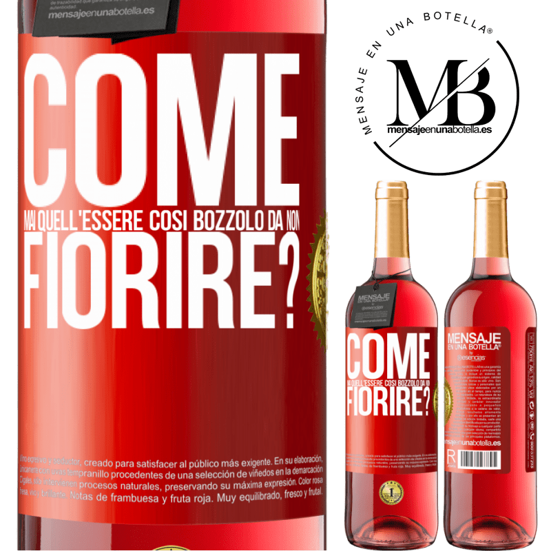 29,95 € Spedizione Gratuita | Vino rosato Edizione ROSÉ come mai quell'essere così bozzolo da non fiorire? Etichetta Rossa. Etichetta personalizzabile Vino giovane Raccogliere 2024 Tempranillo