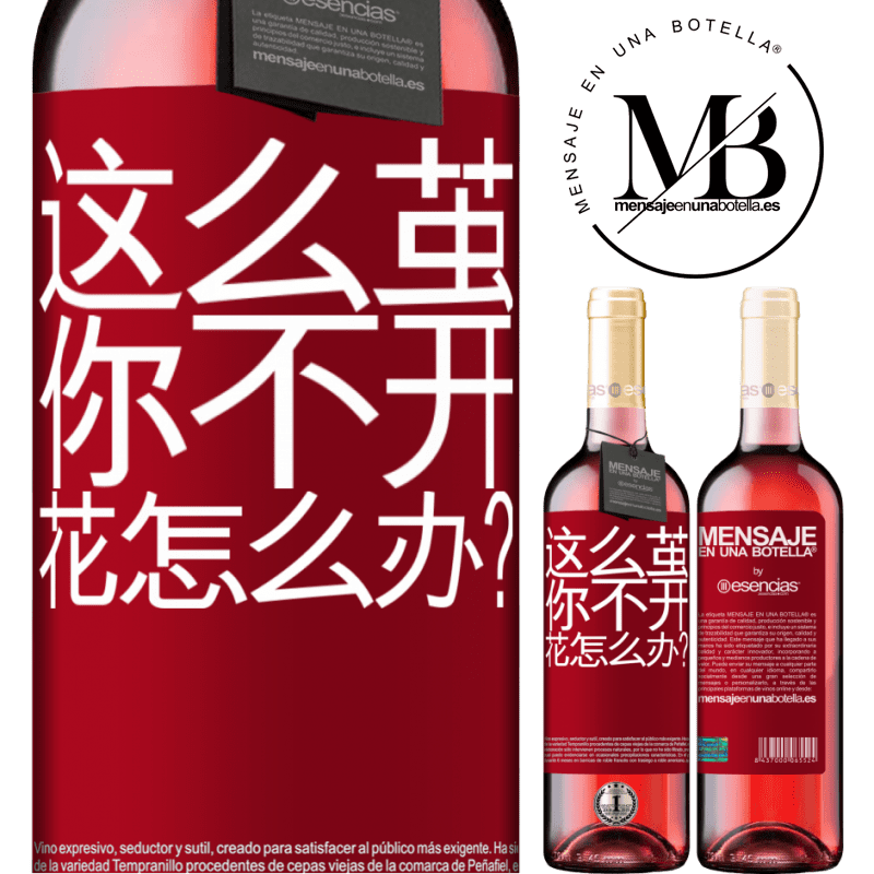 «这么茧，你不开花怎么办？» ROSÉ版