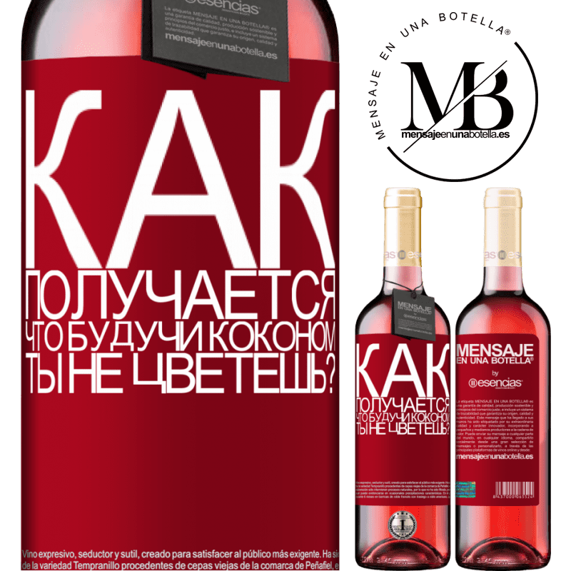 «как получается, что, будучи коконом, ты не цветешь?» Издание ROSÉ
