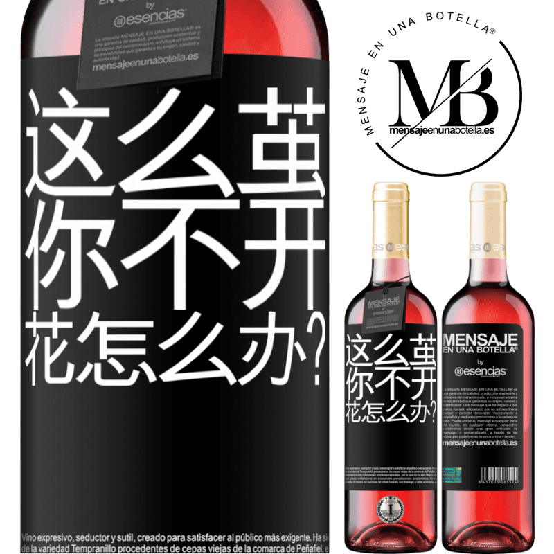 «这么茧，你不开花怎么办？» ROSÉ版