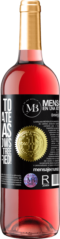 «The next to congratulate Christmas again swallows the balls of the tree. You are notified!» ROSÉ Edition