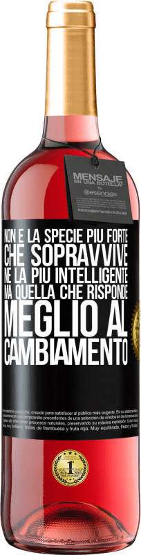 29,95 € | Vino rosato Edizione ROSÉ Non è la specie più forte che sopravvive, né la più intelligente, ma quella che risponde meglio al cambiamento Etichetta Nera. Etichetta personalizzabile Vino giovane Raccogliere 2025 Tempranillo