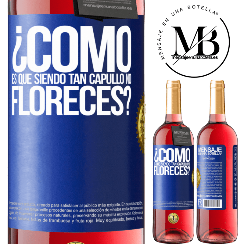 29,95 € Envío gratis | Vino Rosado Edición ROSÉ ¿Cómo es que siendo tan capullo no floreces? Etiqueta Azul. Etiqueta personalizable Vino joven Cosecha 2024 Tempranillo