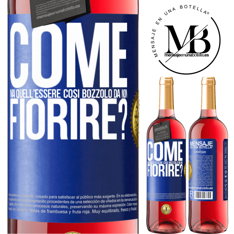 29,95 € Spedizione Gratuita | Vino rosato Edizione ROSÉ come mai quell'essere così bozzolo da non fiorire? Etichetta Blu. Etichetta personalizzabile Vino giovane Raccogliere 2024 Tempranillo