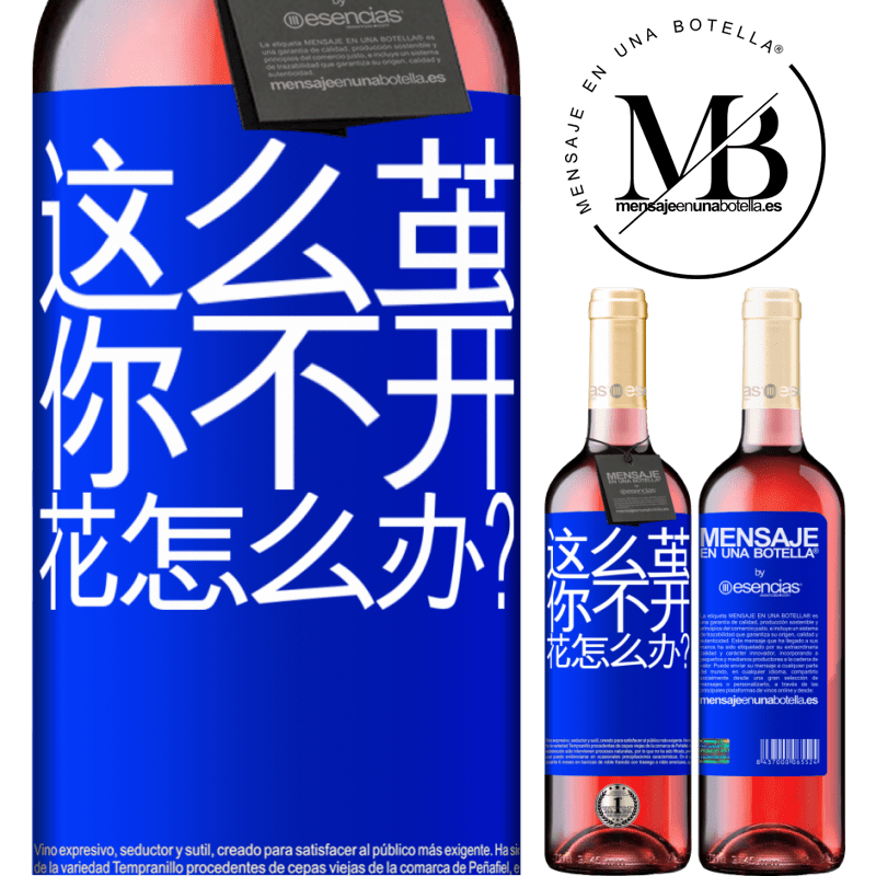 «这么茧，你不开花怎么办？» ROSÉ版