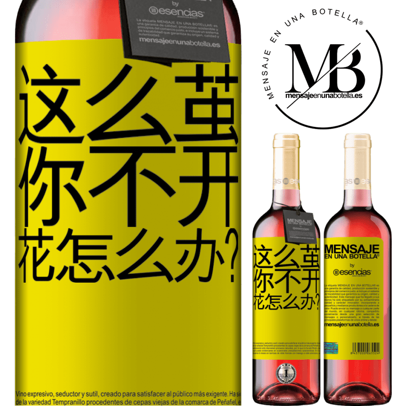 «这么茧，你不开花怎么办？» ROSÉ版