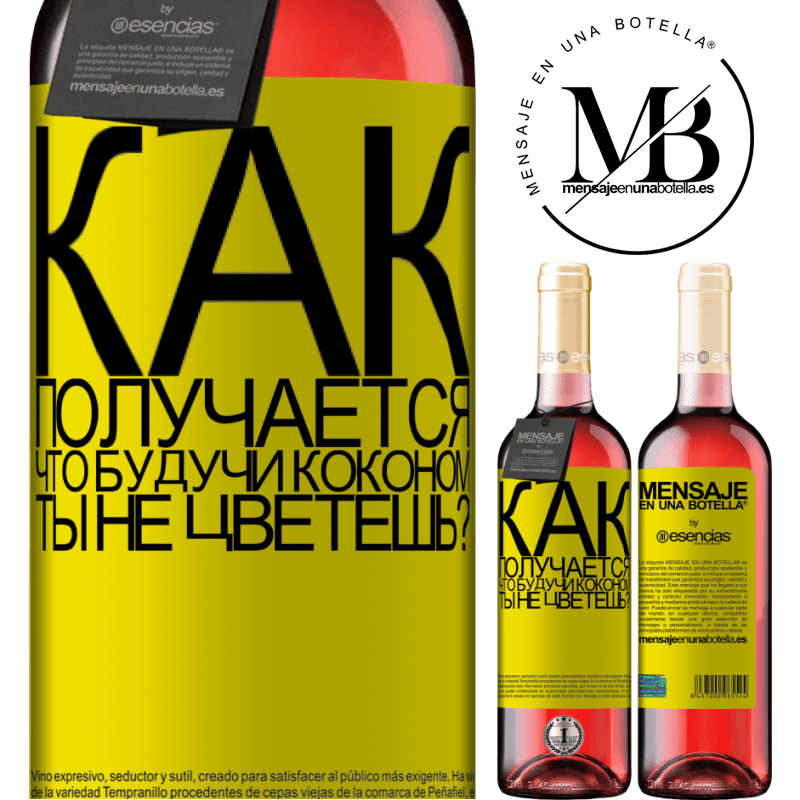 «как получается, что, будучи коконом, ты не цветешь?» Издание ROSÉ