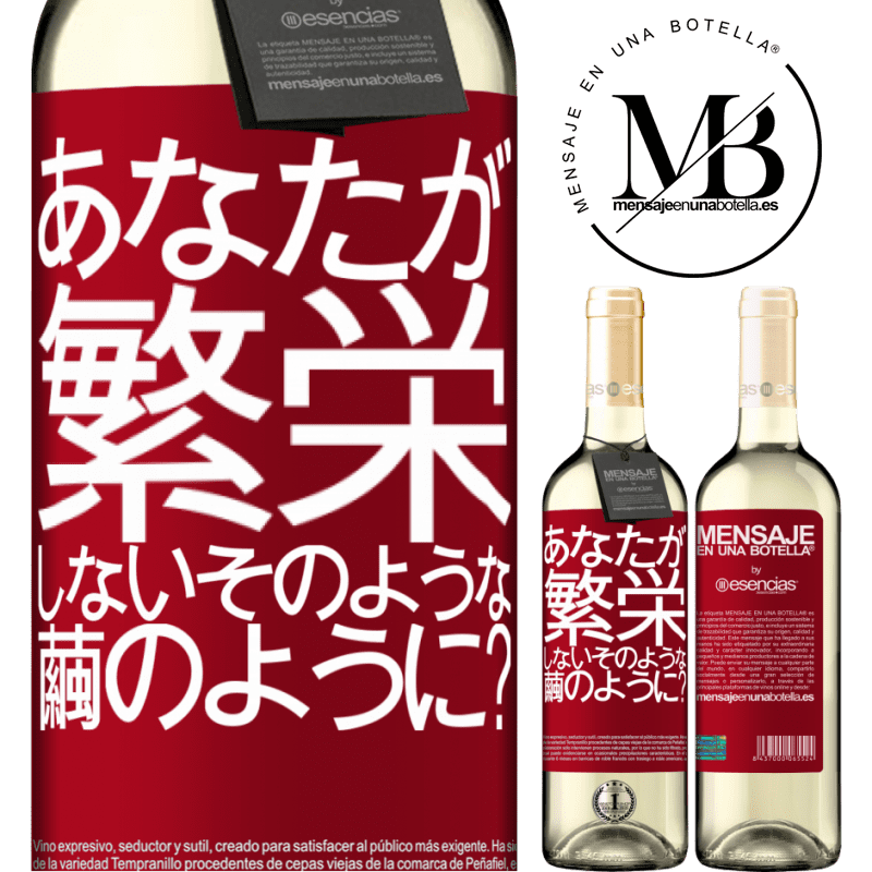«soになって咲かないのはどうですか？» WHITEエディション