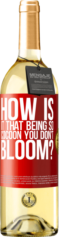29,95 € Free Shipping | White Wine WHITE Edition how is it that being so cocoon you don't bloom? Red Label. Customizable label Young wine Harvest 2022 Verdejo