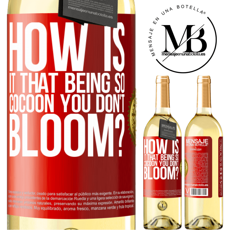 29,95 € Free Shipping | White Wine WHITE Edition how is it that being so cocoon you don't bloom? Red Label. Customizable label Young wine Harvest 2024 Verdejo