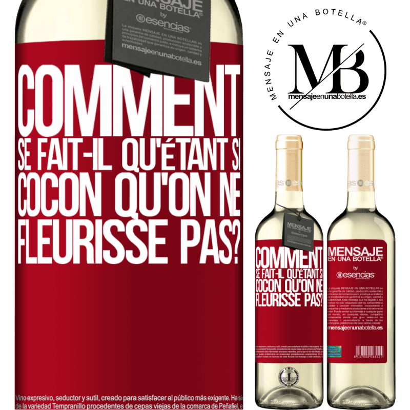 «comment se fait-il qu'étant si cocon qu'on ne fleurisse pas?» Édition WHITE