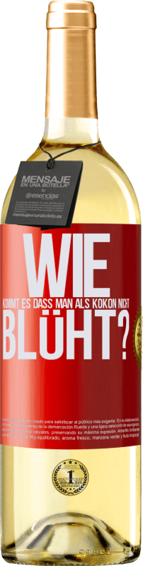 29,95 € | Weißwein WHITE Ausgabe wie kommt es, dass man als Kokon nicht blüht? Rote Markierung. Anpassbares Etikett Junger Wein Ernte 2023 Verdejo