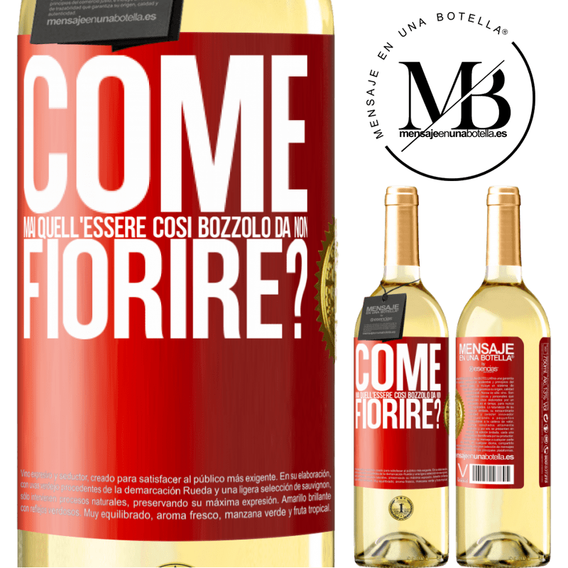 29,95 € Spedizione Gratuita | Vino bianco Edizione WHITE come mai quell'essere così bozzolo da non fiorire? Etichetta Rossa. Etichetta personalizzabile Vino giovane Raccogliere 2024 Verdejo