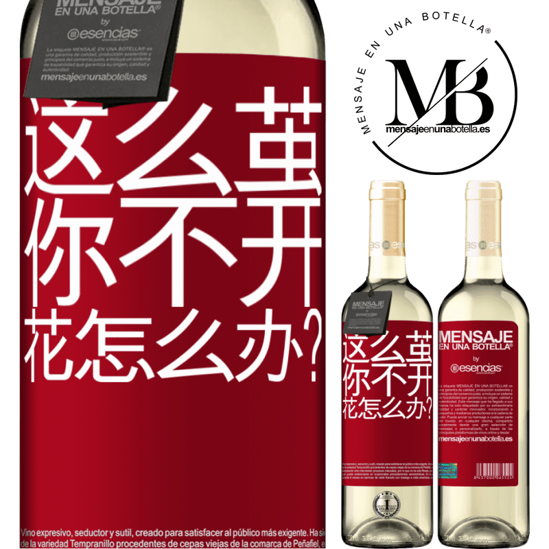 «这么茧，你不开花怎么办？» WHITE版