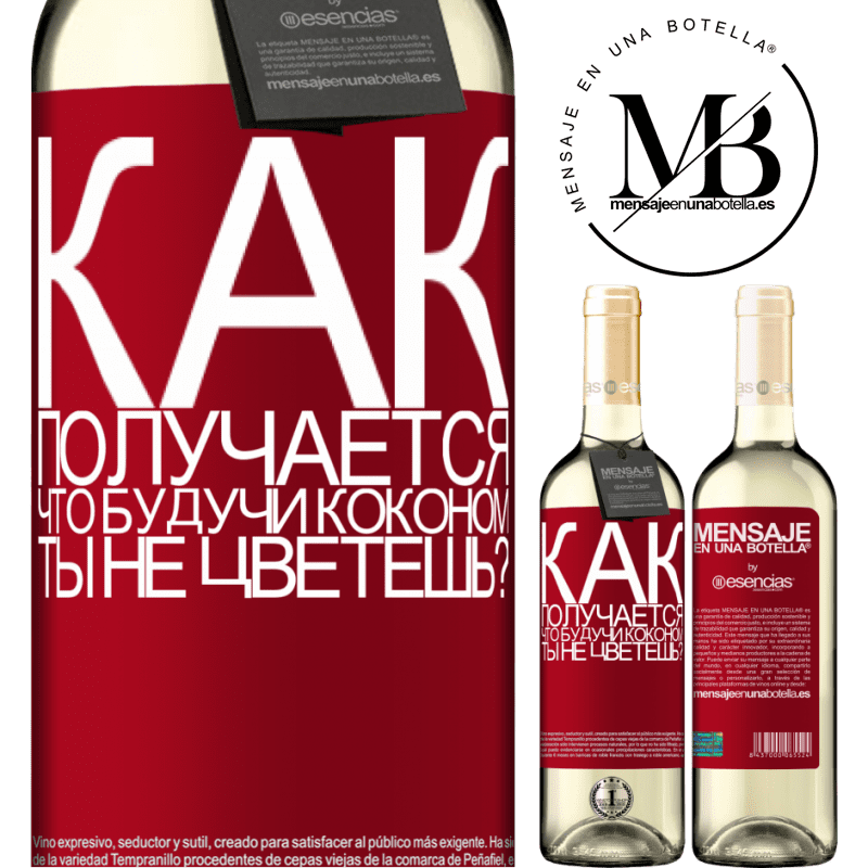 «как получается, что, будучи коконом, ты не цветешь?» Издание WHITE