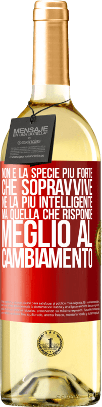 29,95 € | Vino bianco Edizione WHITE Non è la specie più forte che sopravvive, né la più intelligente, ma quella che risponde meglio al cambiamento Etichetta Rossa. Etichetta personalizzabile Vino giovane Raccogliere 2025 Verdejo