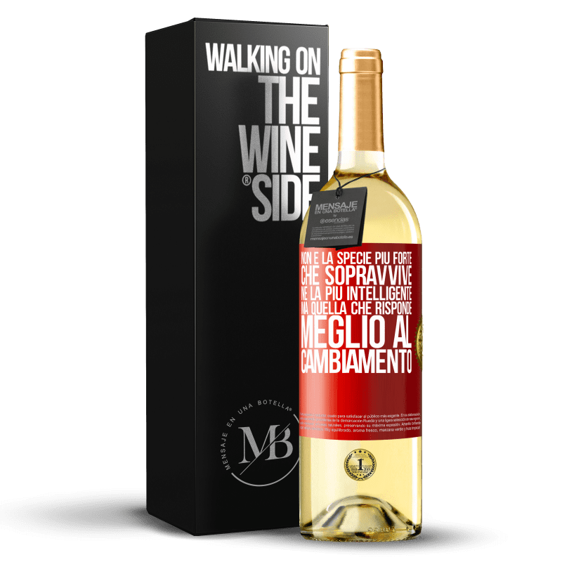 29,95 € Spedizione Gratuita | Vino bianco Edizione WHITE Non è la specie più forte che sopravvive, né la più intelligente, ma quella che risponde meglio al cambiamento Etichetta Rossa. Etichetta personalizzabile Vino giovane Raccogliere 2023 Verdejo