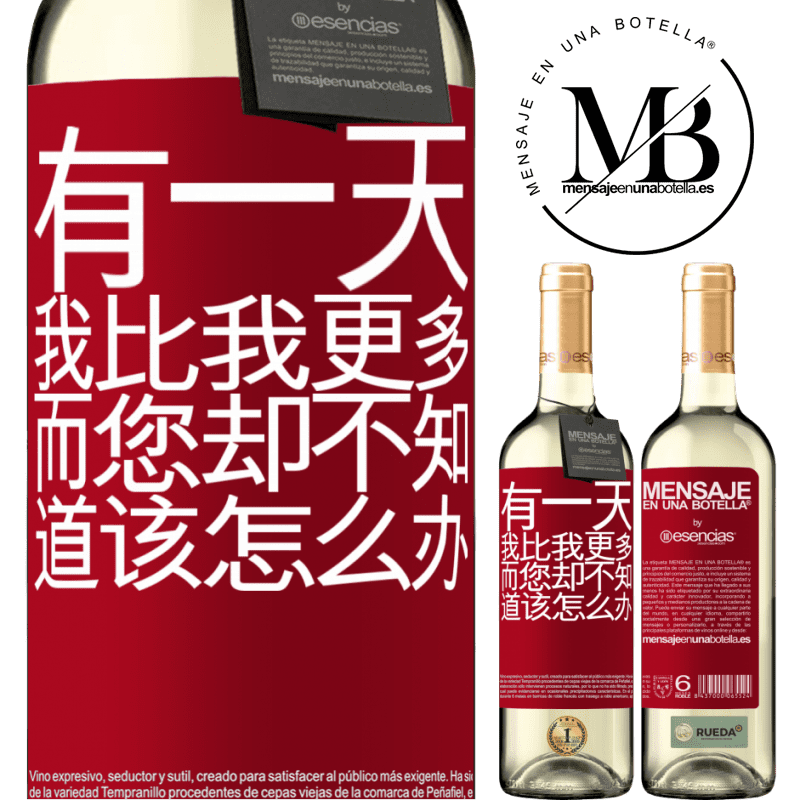 «有一天，我比我更多，而您却不知道该怎么办» WHITE版