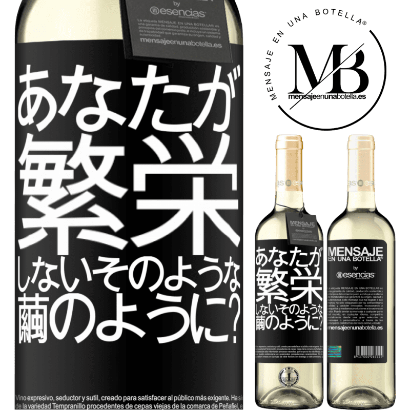 «soになって咲かないのはどうですか？» WHITEエディション