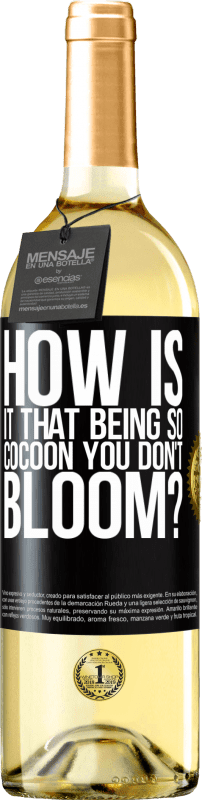 29,95 € Free Shipping | White Wine WHITE Edition how is it that being so cocoon you don't bloom? Black Label. Customizable label Young wine Harvest 2023 Verdejo