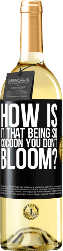29,95 € Free Shipping | White Wine WHITE Edition how is it that being so cocoon you don't bloom? Black Label. Customizable label Young wine Harvest 2025 Verdejo