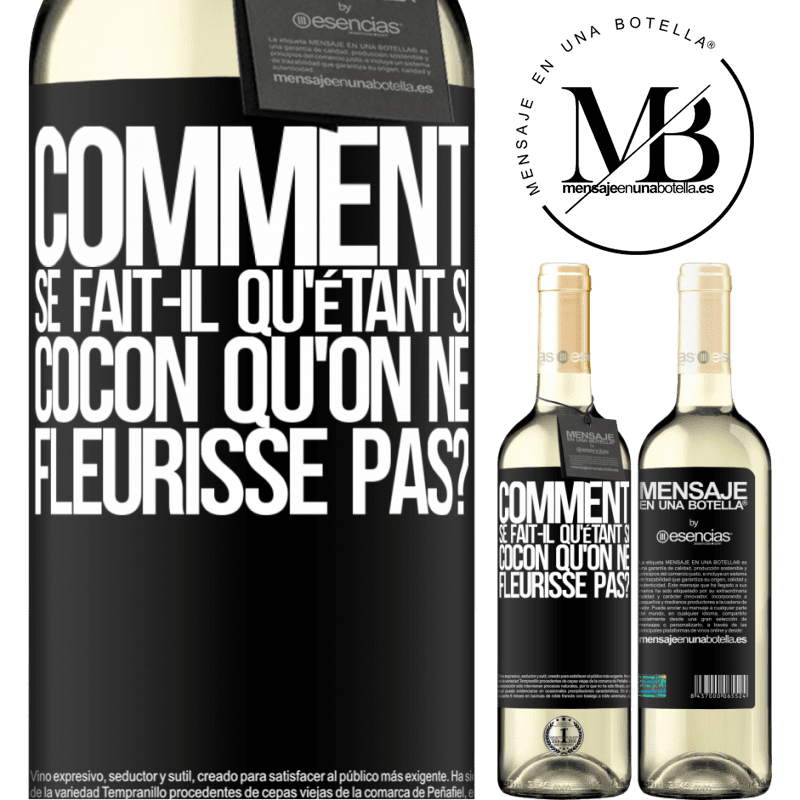 «comment se fait-il qu'étant si cocon qu'on ne fleurisse pas?» Édition WHITE
