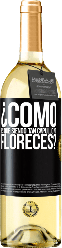 29,95 € | Vino Blanco Edición WHITE ¿Cómo es que siendo tan capullo no floreces? Etiqueta Negra. Etiqueta personalizable Vino joven Cosecha 2024 Verdejo