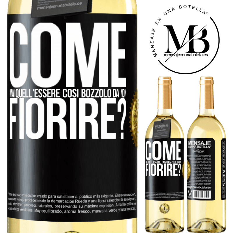29,95 € Spedizione Gratuita | Vino bianco Edizione WHITE come mai quell'essere così bozzolo da non fiorire? Etichetta Nera. Etichetta personalizzabile Vino giovane Raccogliere 2024 Verdejo