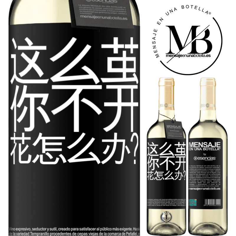 «这么茧，你不开花怎么办？» WHITE版