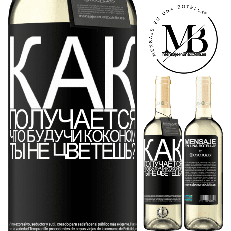 «как получается, что, будучи коконом, ты не цветешь?» Издание WHITE