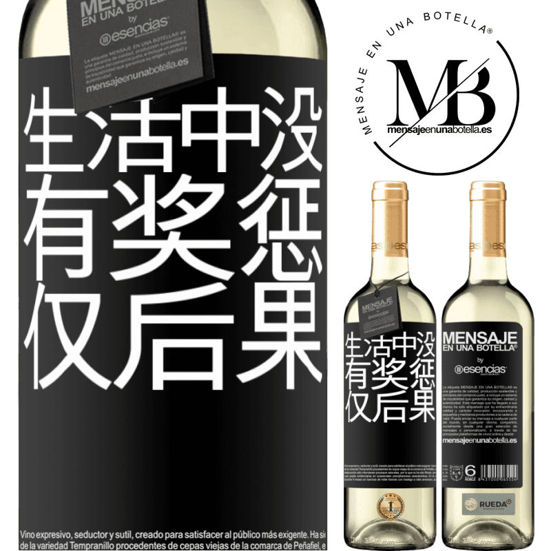 «生活中没有奖惩。仅后果» WHITE版