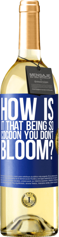 «how is it that being so cocoon you don't bloom?» WHITE Edition