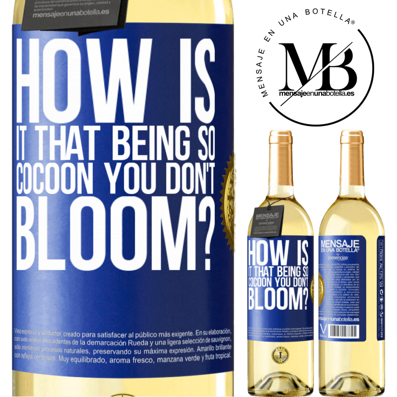 29,95 € Free Shipping | White Wine WHITE Edition how is it that being so cocoon you don't bloom? Blue Label. Customizable label Young wine Harvest 2024 Verdejo
