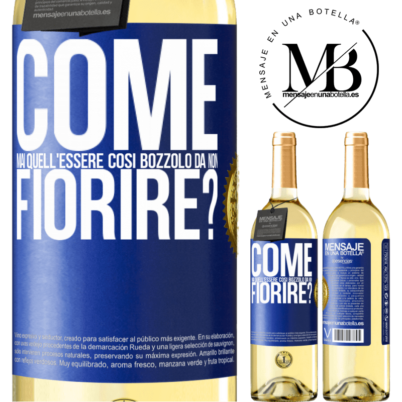 29,95 € Spedizione Gratuita | Vino bianco Edizione WHITE come mai quell'essere così bozzolo da non fiorire? Etichetta Blu. Etichetta personalizzabile Vino giovane Raccogliere 2024 Verdejo