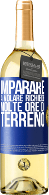 Ironici