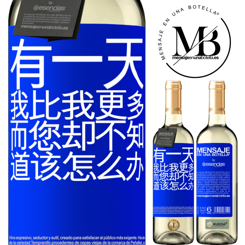 «有一天，我比我更多，而您却不知道该怎么办» WHITE版