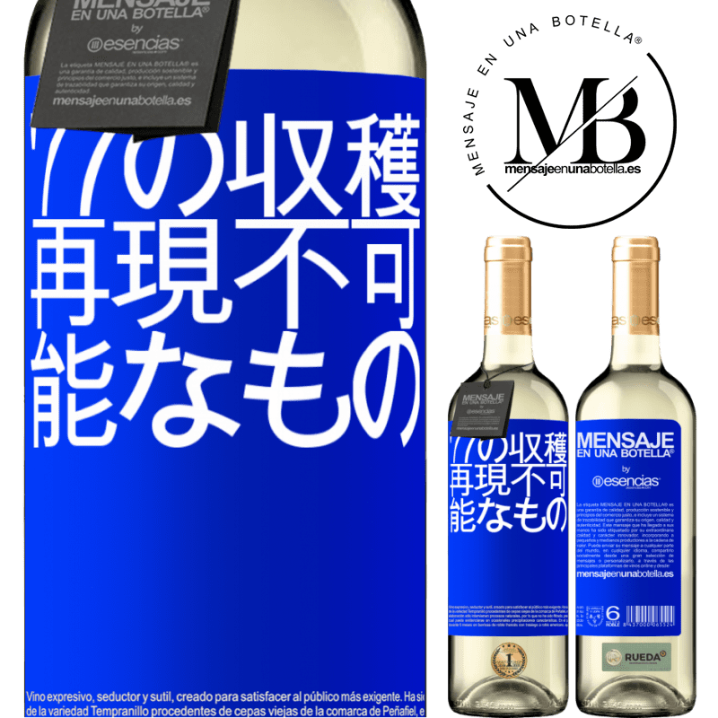 «'77の収穫、再現不可能なもの» WHITEエディション