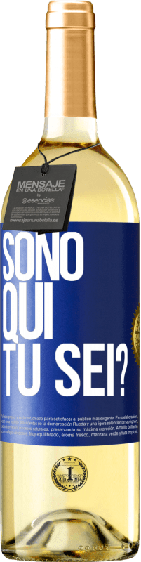 29,95 € Spedizione Gratuita | Vino bianco Edizione WHITE Sono qui. Tu sei? Etichetta Blu. Etichetta personalizzabile Vino giovane Raccogliere 2025 Verdejo