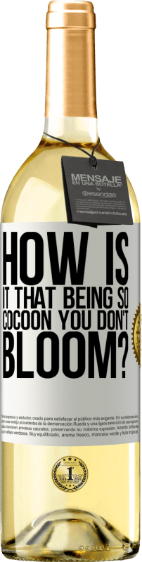 «how is it that being so cocoon you don't bloom?» WHITE Edition