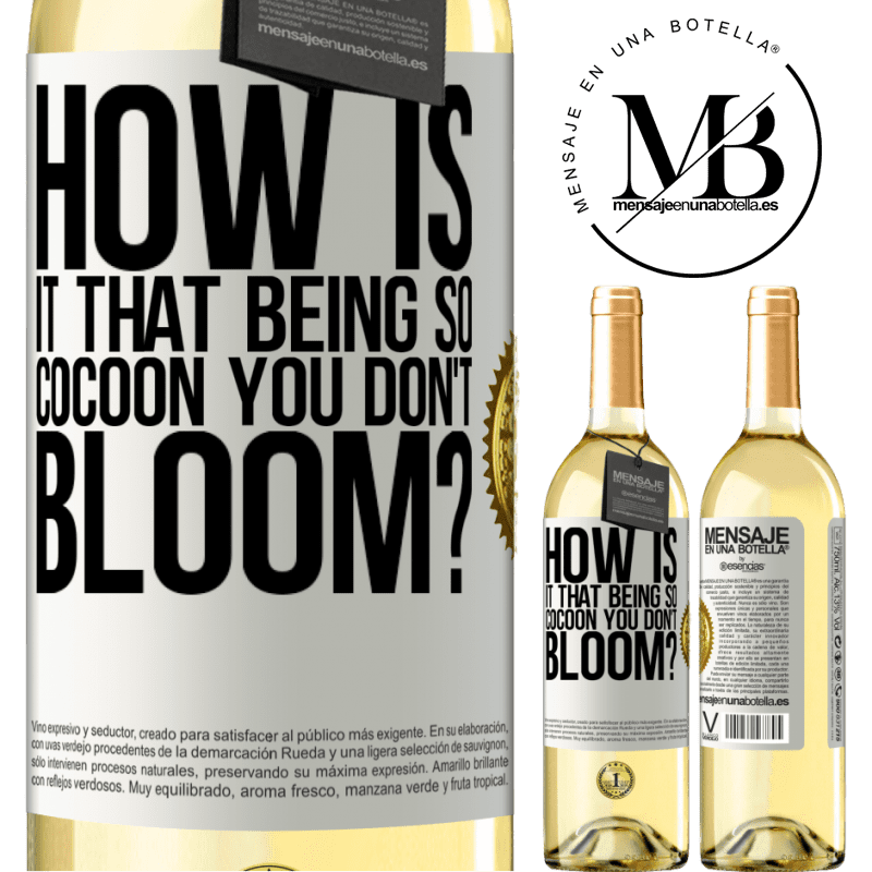 29,95 € Free Shipping | White Wine WHITE Edition how is it that being so cocoon you don't bloom? White Label. Customizable label Young wine Harvest 2022 Verdejo