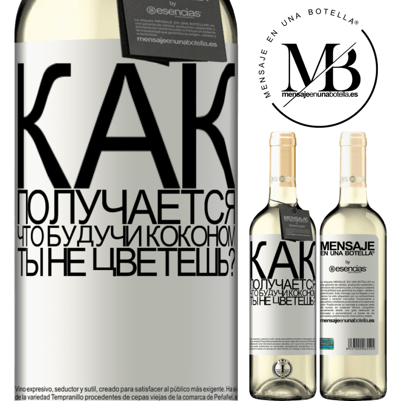 «как получается, что, будучи коконом, ты не цветешь?» Издание WHITE