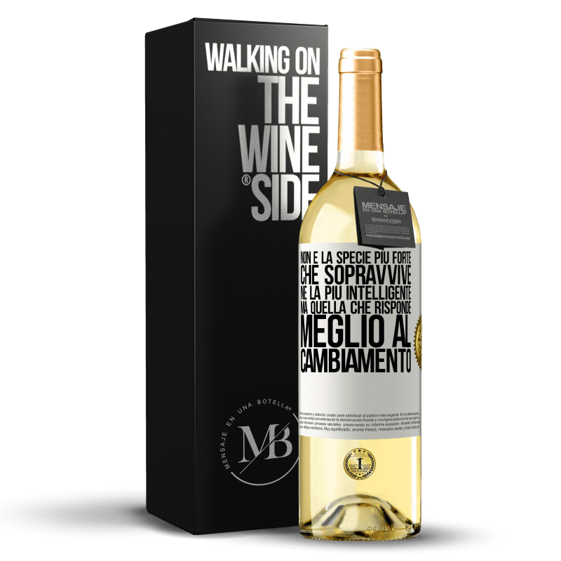 29,95 € Spedizione Gratuita | Vino bianco Edizione WHITE Non è la specie più forte che sopravvive, né la più intelligente, ma quella che risponde meglio al cambiamento Etichetta Bianca. Etichetta personalizzabile Vino giovane Raccogliere 2025 Verdejo