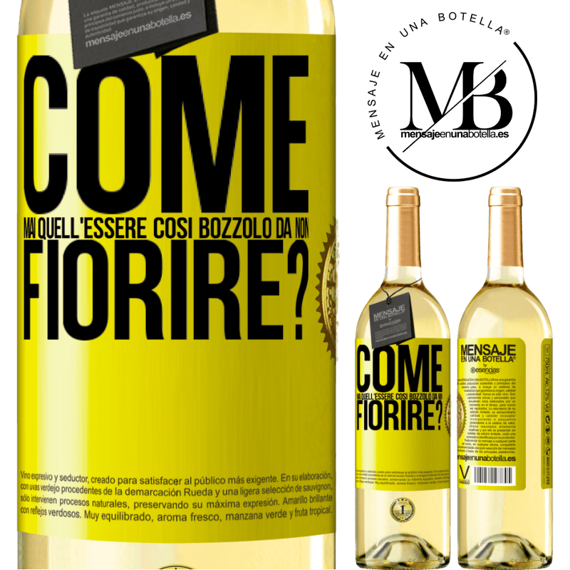 29,95 € Spedizione Gratuita | Vino bianco Edizione WHITE come mai quell'essere così bozzolo da non fiorire? Etichetta Gialla. Etichetta personalizzabile Vino giovane Raccogliere 2024 Verdejo
