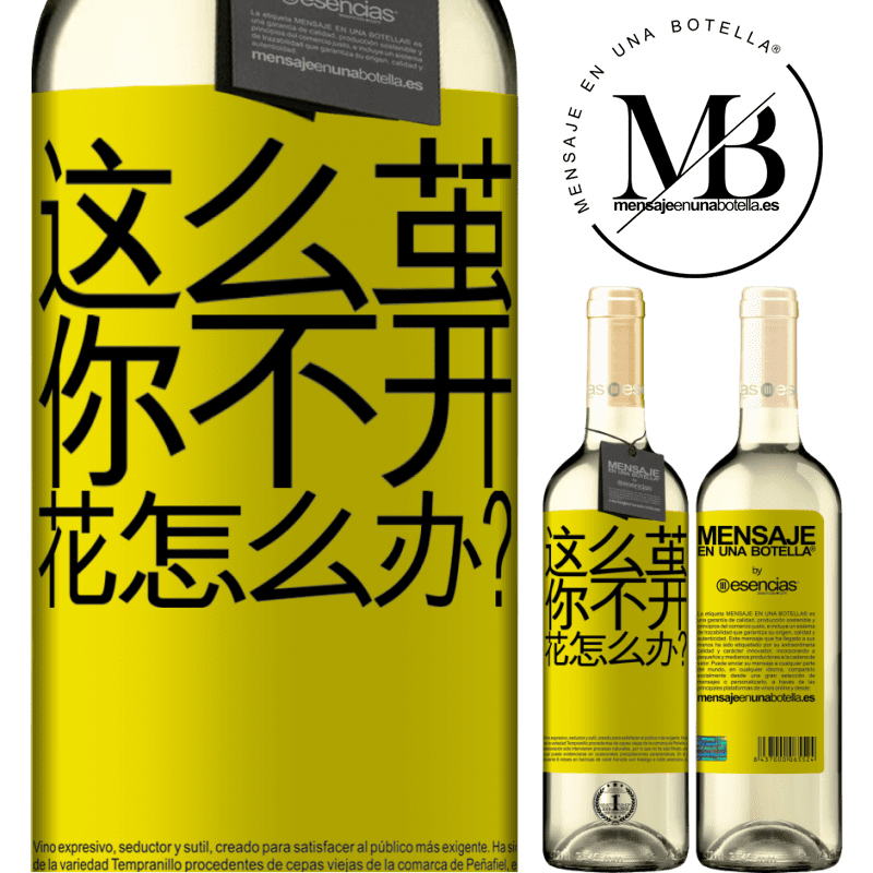 «这么茧，你不开花怎么办？» WHITE版