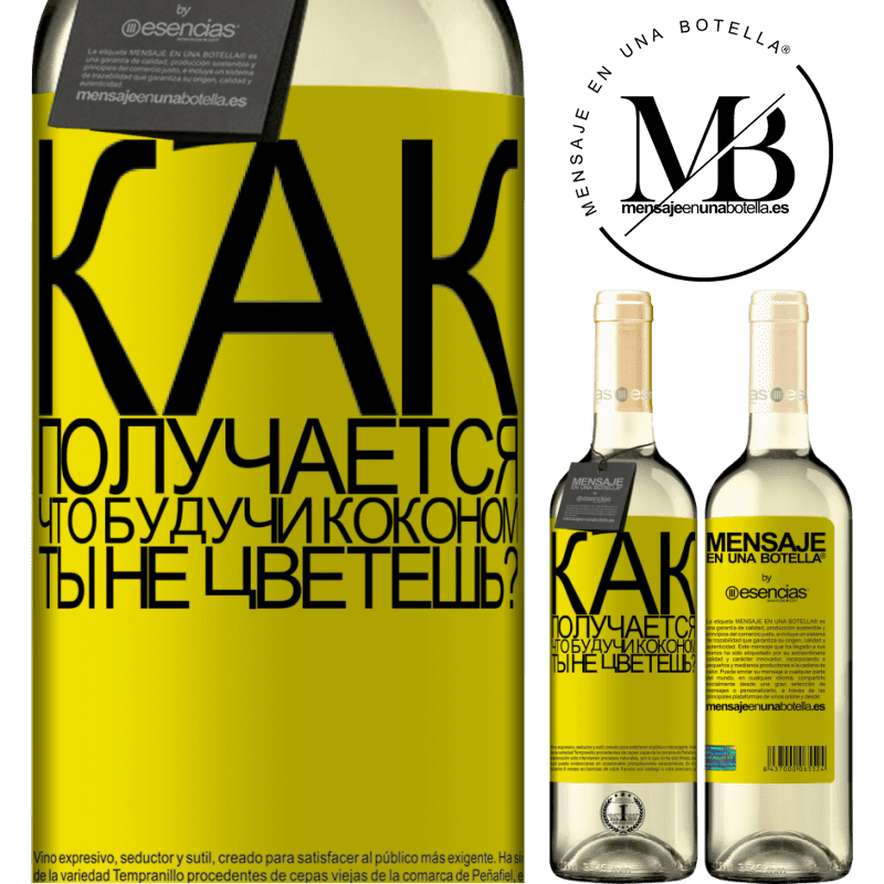 «как получается, что, будучи коконом, ты не цветешь?» Издание WHITE