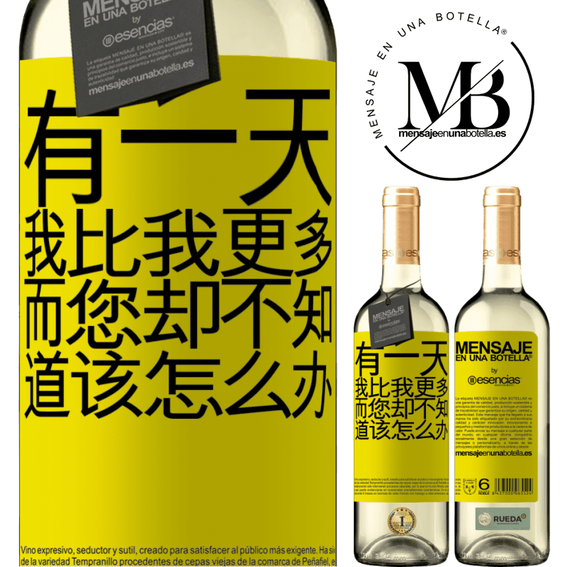 «有一天，我比我更多，而您却不知道该怎么办» WHITE版