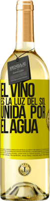 Vino