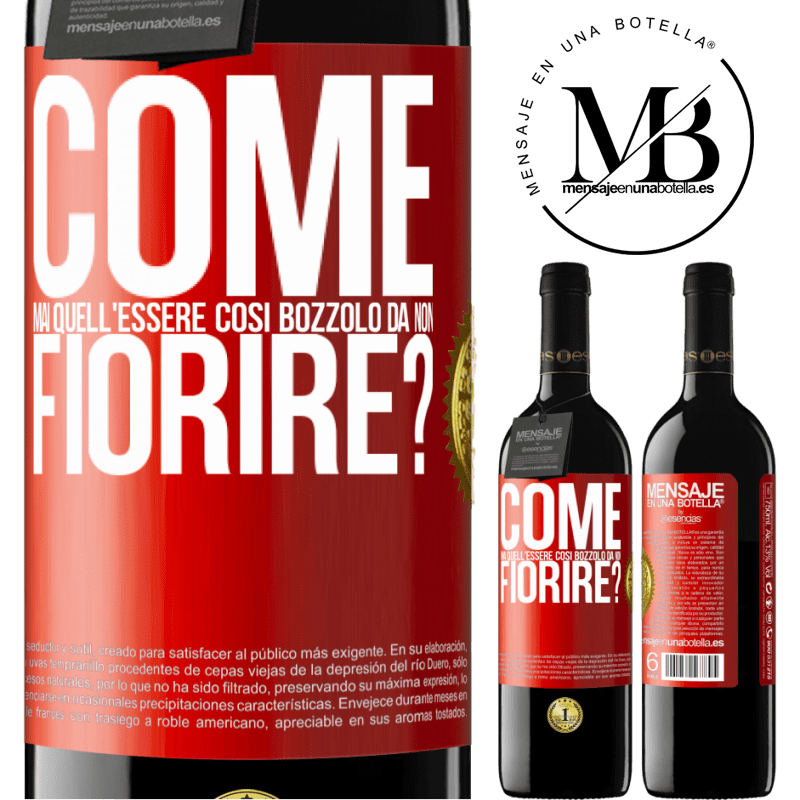 39,95 € Spedizione Gratuita | Vino rosso Edizione RED MBE Riserva come mai quell'essere così bozzolo da non fiorire? Etichetta Rossa. Etichetta personalizzabile Riserva 12 Mesi Raccogliere 2015 Tempranillo