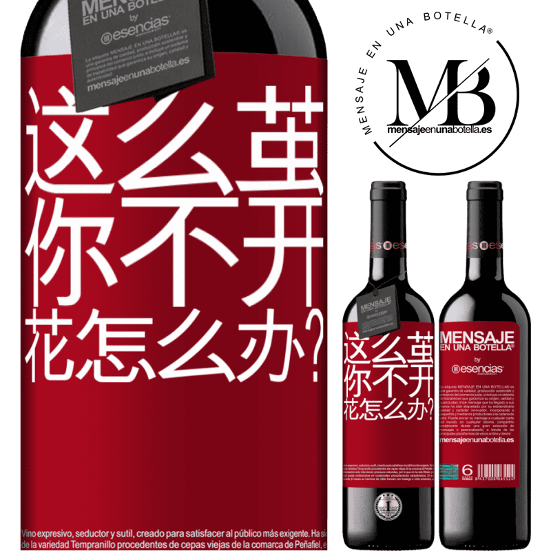 «这么茧，你不开花怎么办？» RED版 MBE 预订